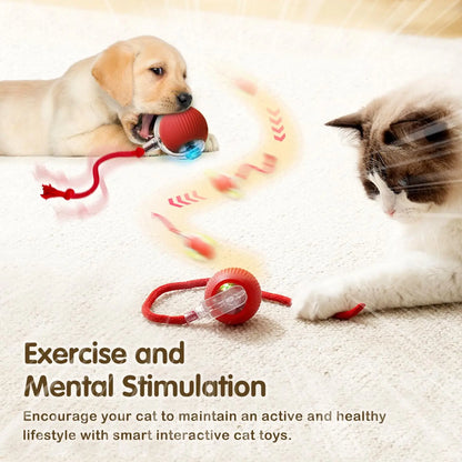 Rechargeable Interactive Cat Ball Toy — Automatic Rolling Smart Toy with Tail, LED & Obstacle Avoidance