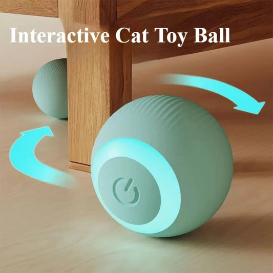 Rechargeable Self-Moving Rolling Ball Cat Toy — Interactive Indoor Toy for Kittens & Cats