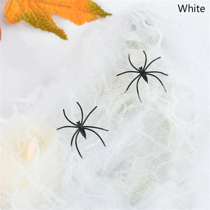 Halloween Spider Web Cobweb Decoration with Two Spider Props