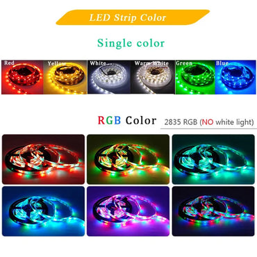 RGB LED Strip Light 5M (16.4 ft) 300 LEDs SMD2835 12V Waterproof Flexible Tape Light - Warm White/White/Red/Green/Blue for Room Decor