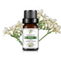 10ml (0.34 fl oz) Organic Essential Oil, 33 Scents Aromatherapy Fragrance Oil for Diffuser, Candle & Soap Making, Sleep