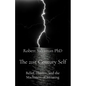 The 21st Century Self: Belief, Illusion, and the Machinery of Meaning - Paperback