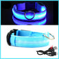 LED Pet Dog Collar for Night Safety | Bright USB Rechargeable