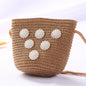 Girls Daisy Straw Mini Messenger Bag, Kids Shoulder Handbag with Coin Purse