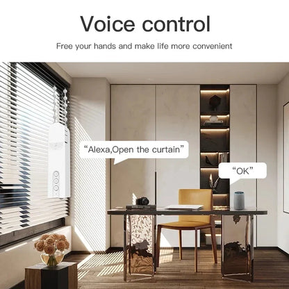 Tuya Smart Blind Motor USB Wifi  Automatic Electric Roller Shutter Shadows App Control Lifting Curtain Opening Closing Driver