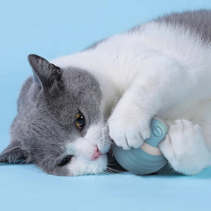Rechargeable Self-Moving Rolling Ball Cat Toy — Interactive Indoor Toy for Kittens & Cats