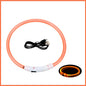 LED Pet Dog Collar for Night Safety | Bright USB Rechargeable