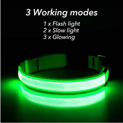 LED Pet Dog Collar for Night Safety | Bright USB Rechargeable