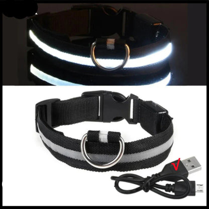 LED Pet Dog Collar for Night Safety | Bright USB Rechargeable