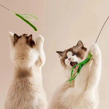 Interactive Feather Teaser Wand for Cats — Flexible Wire Durable Feather Toy