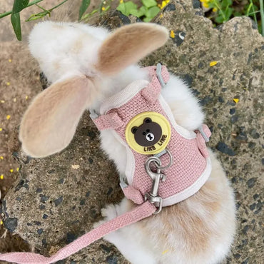 Cute Rabbit & Small Pet Harness Leash Set Padded Adjustable Harness with Leash (Sizes S, M) for Rabbits & Cats