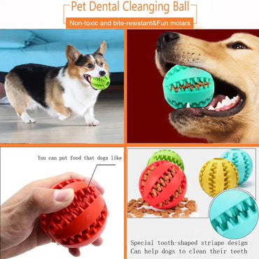 Interactive Rubber Chew Ball for Dogs & Cats — Treat Dispenser & Tooth-Cleaning Puppy Toy (5 cm / 2 in & 7 cm / 2.8 in)