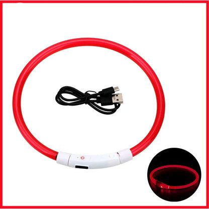LED Pet Dog Collar for Night Safety | Bright USB Rechargeable