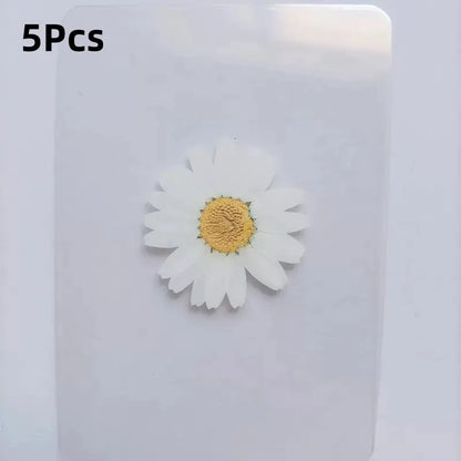 15Pcs Lucky Simulation Four-Leaf Clover Postcards Shamrock Stems Transparent Wishing Cards Ideal for Bookmarks & Decorations