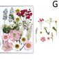 For Fun DIY Embossed Dried Flower Resin Fillings Real Flower for Home Decoration Nail Art Handicrafts Jewelry Making Crafts