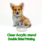 Personalized Holographic Acrylic Photo Keychain – Custom Transparent Pet & Portrait Charm