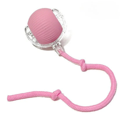 Rechargeable Self-Moving Rolling Ball Cat Toy — Interactive Indoor Toy for Kittens & Cats