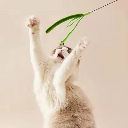 Interactive Feather Teaser Wand for Cats — Flexible Wire Durable Feather Toy