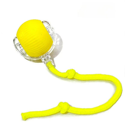 Rechargeable Self-Moving Rolling Ball Cat Toy — Interactive Indoor Toy for Kittens & Cats