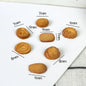Cute Cat Bread Toast Model Toys Miniature Photography Props Figurines Gift Desktop Ornaments Figurine Decoration Crafts
