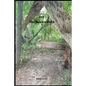 Off The Beaten Path: 4 year Blood Glucose Tracker - Paperback