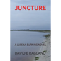 Juncture: A Lucena Burning Novel - Paperback