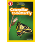 Caterpillar to Butterfly (National Geographic Kids Readers, Level 1) - Paperback