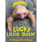 Lucky Little Sloth!: The True Story of Guanabana a Rescued Baby Sloth - Hardcover