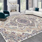 VIKAMA Persian Style Carpet For Live Room Large Area Rug Machine Washable Rug For Bedroom Home Decor Outdoor Carpet
