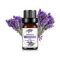 10ml (0.34 fl oz) Organic Essential Oil, 33 Scents Aromatherapy Fragrance Oil for Diffuser, Candle & Soap Making, Sleep
