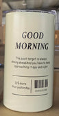 Insulated 304 Stainless Steel Travel Mug with Straw, 600ml (20 fl oz) Leak-Proof Vacuum Bottle