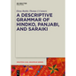 A Descriptive Grammar of Hindko, Panjabi, and Saraiki - Paperback