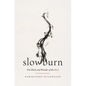 Slow Burn: The Work and Wonder of the Wait - Paperback