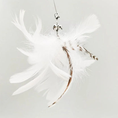 Interactive Feather Cat Toy – Feather Teaser for Cat Play & Exercise