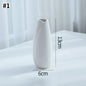 Ceramic Decorative Vase for Dried Flowers & Hydroponic Plants, Modern Table Ornament for Living Room Bedroom Office