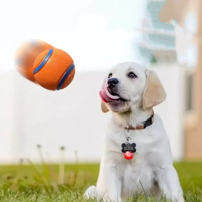 Chew-Proof Rubber Dog Ball - Elastic Jumping Fetch Toy for Small, Medium & Large Dogs