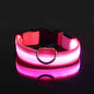 LED Glow Nylon Dog Collar & Leash - Luminous Flashing Night Safety for Dogs