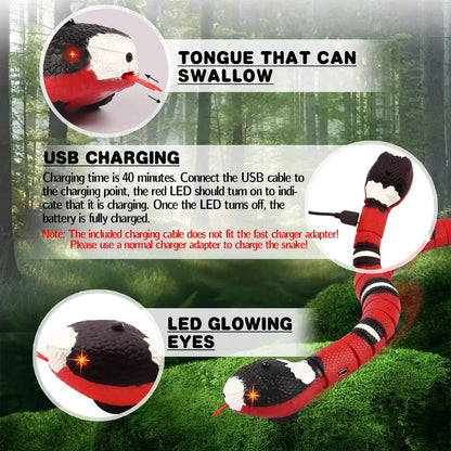 Interactive USB Rechargeable Snake Teaser Smart Sensing Electronic Cat & Small Dog Toy