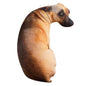 3D Lifelike Dog Head Throw Pillow - Novelty Plush Cushion for Home & Kids, 20 cm / 50 cm (7.87 in / 19.69 in)