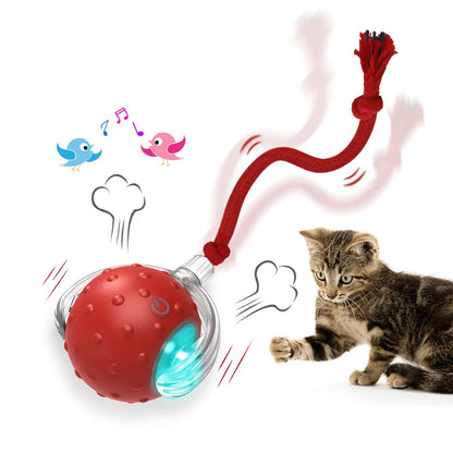Motion-Activated Interactive Cat Toy Ball with Chirping Bird Sound & LED Rolling Teaser for Kittens