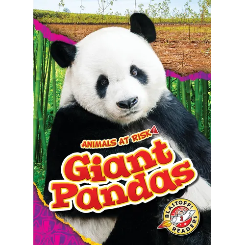 Giant Pandas - Library Binding