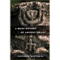 A Brief History of Ancient Israel - Paperback