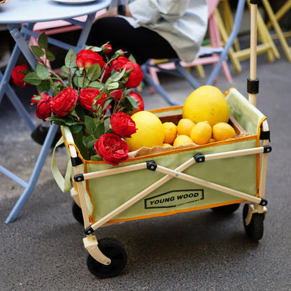Mini Green Camping Cart – Compact Portable Multifunctional Trolley, Lightweight & Sturdy