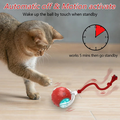 Motion-Activated Interactive Cat Toy Ball with Chirping Bird Sound & LED Rolling Teaser for Kittens