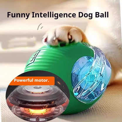 Rechargeable Interactive Rolling Ball Toy for Dogs & Cats — Automatic Smart Obstacle-Avoiding Pet Play Ball