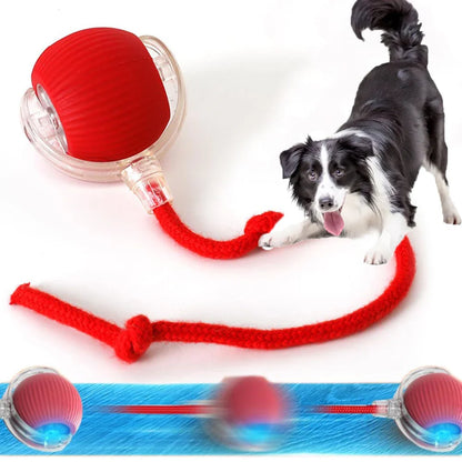 Rechargeable Automatic Rolling Pet Ball — Interactive Plush Tail Toy for Cats & Small Dogs