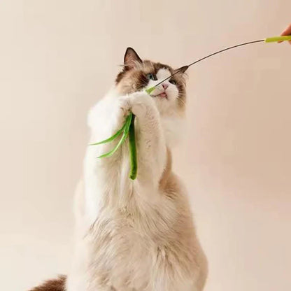 Interactive Feather Teaser Wand for Cats — Flexible Wire Durable Feather Toy
