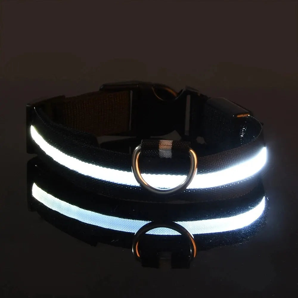 LED Glow Nylon Dog Collar & Leash - Luminous Flashing Night Safety for Dogs