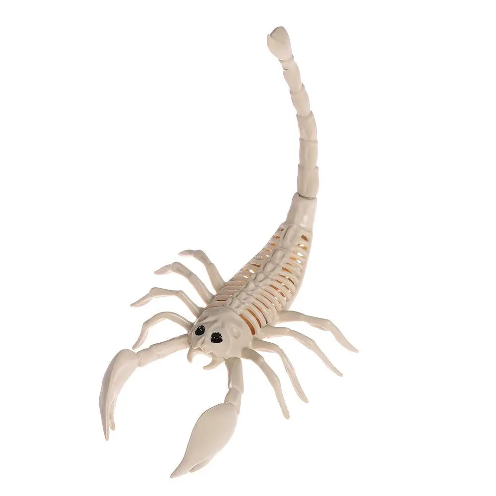 Halloween Animal Skeleton Model, Spider, Mouse or Bat