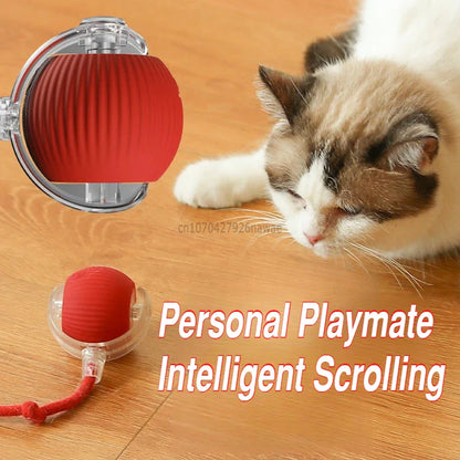 Automatic Rolling Ball Cat Toy – USB-C Rechargeable Interactive Silicone Magic Ball, Prey-Simulating Training Toy for Cats